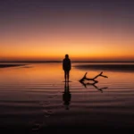 best-similes-for-alone