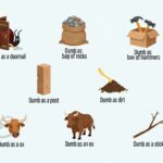 best-similes-for-dumb