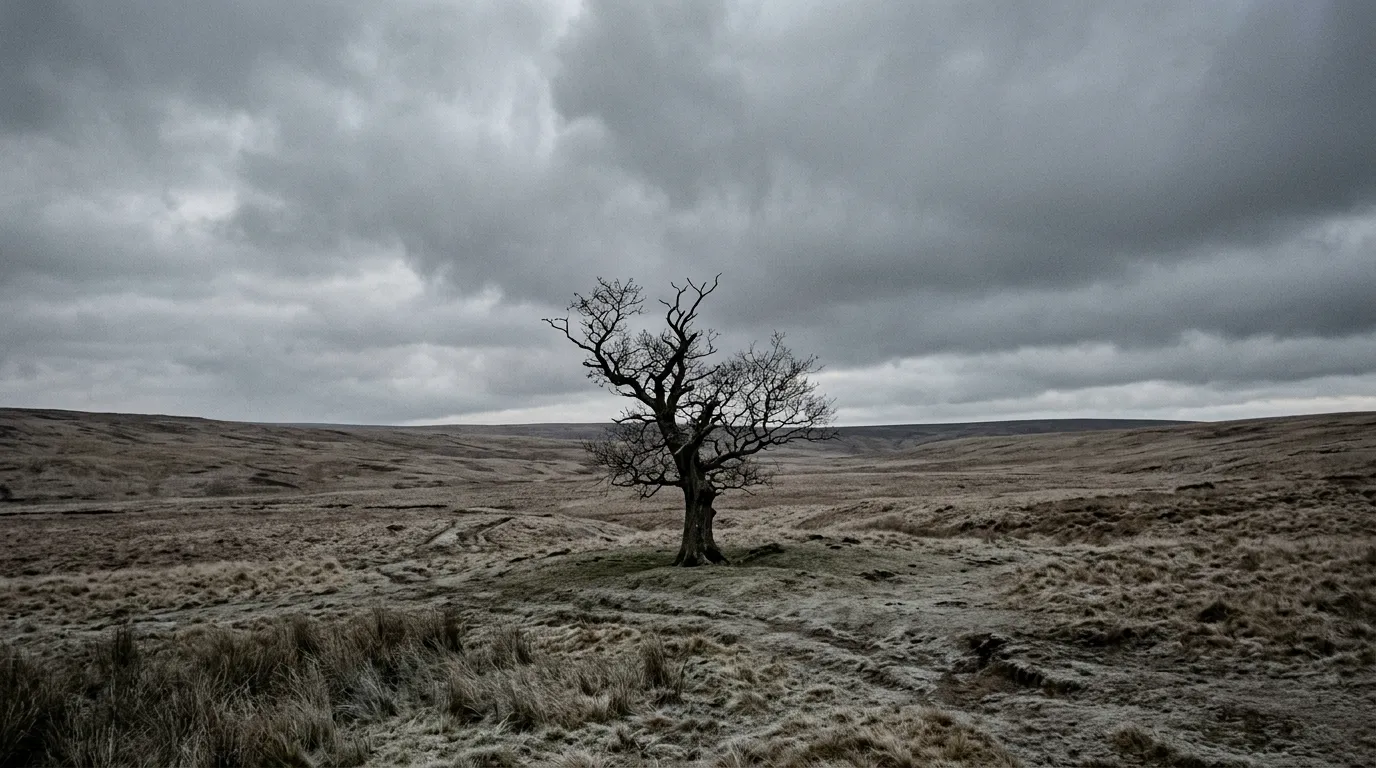 similes for loneliness